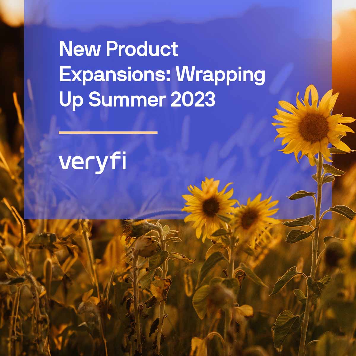 New Product Expansions: Wrapping Up Summer 2023